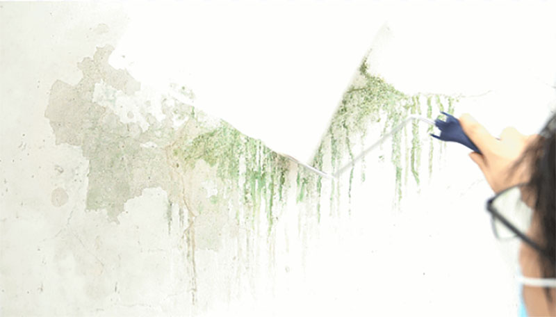 鉴黑担保网(jhdbw)·最具权威唯一维权担保平台