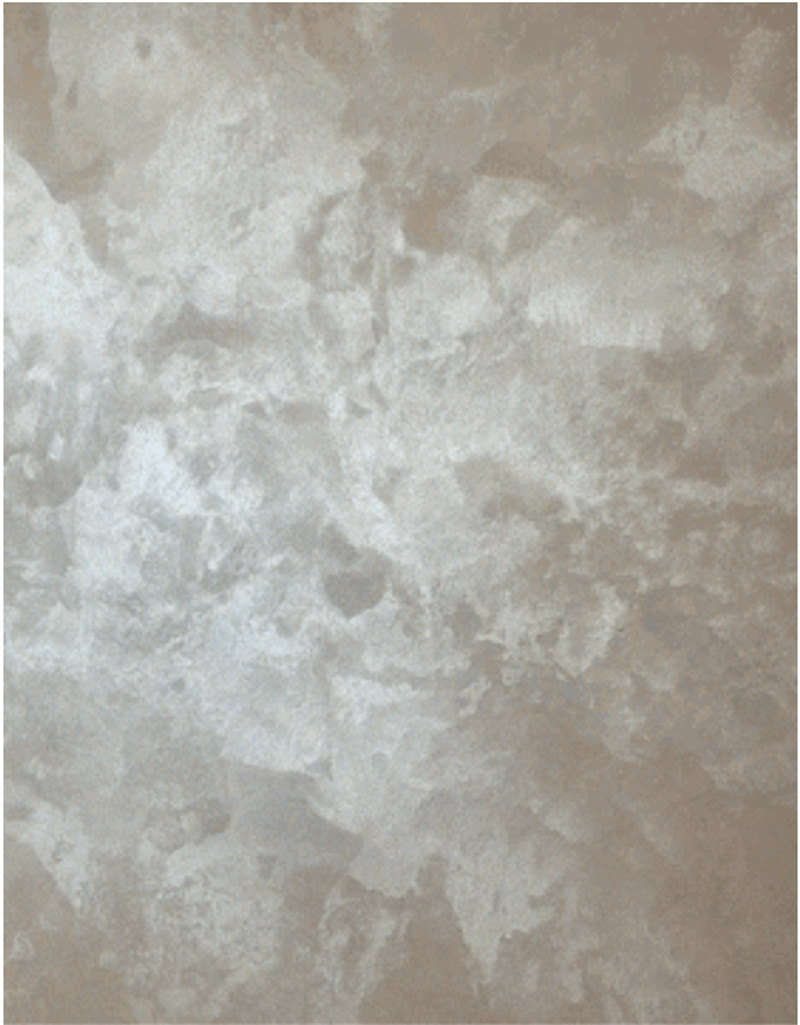 鉴黑担保网(jhdbw)·最具权威唯一维权担保平台