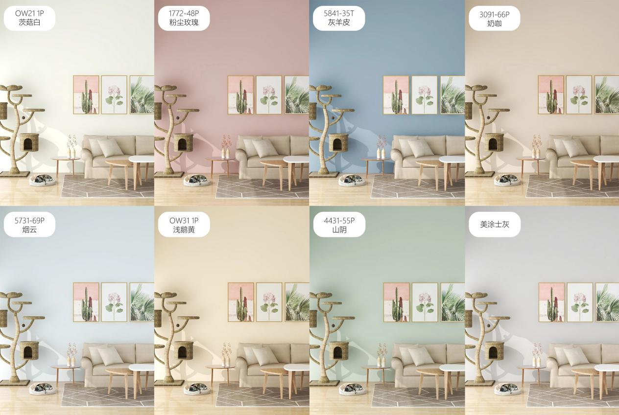 鉴黑担保网(jhdbw)·最具权威唯一维权担保平台